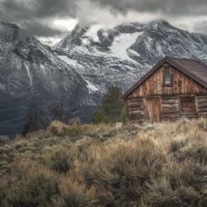 Meet your Posher, Molly